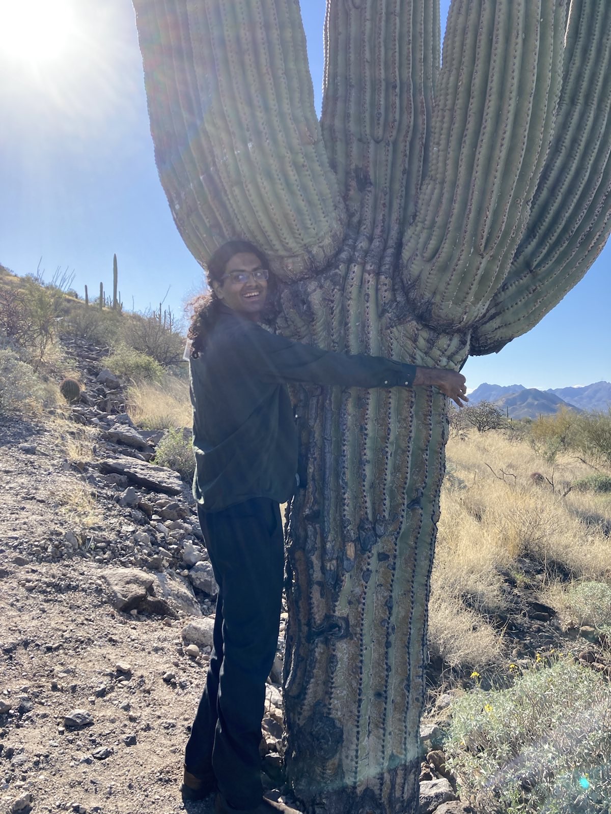 Hugging a saguaro cactus
